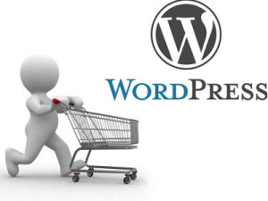 建立WordPress独立网店或网站